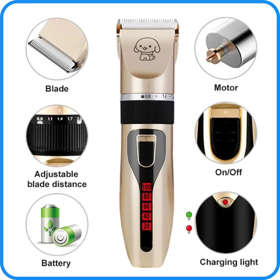 Pet Cat Fur Remover Brush Pet Accessories