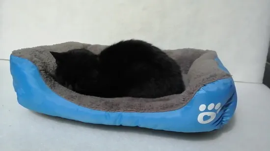 Lovemi Soft Washable Dog Cushion Luxury Round Faux Fur Pet Beds & Accessories for Pets 