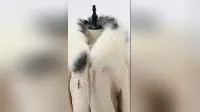 Winter Fashion Winter White Women Fur Collar 
